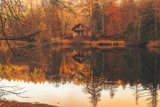 Discover Your Dream Getaway: Enchanting Forest Cabins Await!