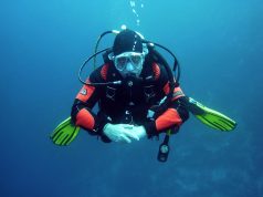 Top 10 Scuba Diving Adventures You Must Experience This Year