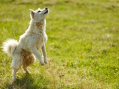 10 Hotel Room Upgrade Tricks You Need to Know for Your Next Stay