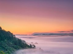 Discover the Best Vineyard Stays for an Unforgettable Getaway