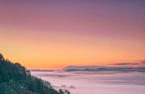 Discover the Best Vineyard Stays for an Unforgettable Getaway