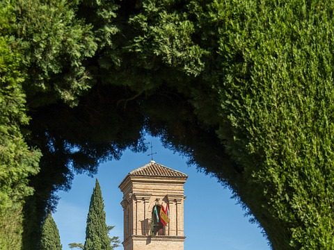 Top Budget Hostels in San Francisco for Affordable Travel