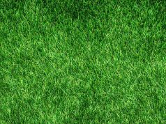 Discover Eco-Friendly Rooms: Your Guide to Sustainable Stays