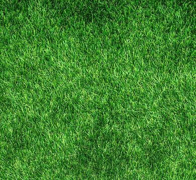 Discover Eco-Friendly Rooms: Your Guide to Sustainable Stays