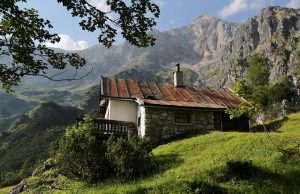 Discover the Best Eco Lodges for Sustainable Travel Adventures