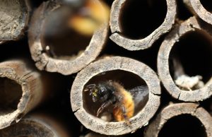 Top Tips for Booking Hotels Online Like a Pro