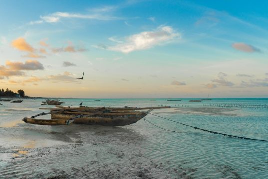 Discover the Best Beaches in Zanzibar: Your Ultimate Travel Guide