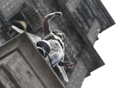 Discover Unforgettable Cultural Experiences in Mexico for Travelers