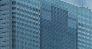 Top 10 City Escapes in Tokyo: Unwind Beyond the Urban Buzz