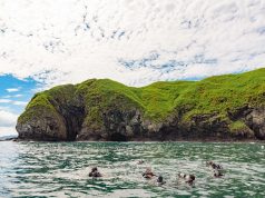 Unforgettable Snorkeling Trips in Vanuatu: Dive into Paradise!