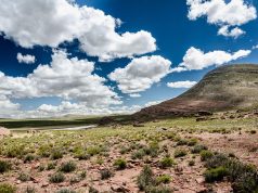 Top 7 Desert Escapes in Arizona for Your Next Adventure