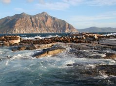 Discover the Best Scenic Routes in South Island for Unforgettable Views