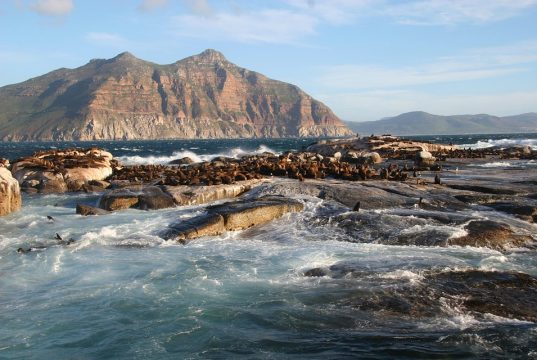 Discover the Best Scenic Routes in South Island for Unforgettable Views