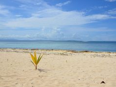 Discover the Best Beach Cottages in Fiji for Your Dream Getaway