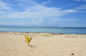 Discover the Best Beach Cottages in Fiji for Your Dream Getaway