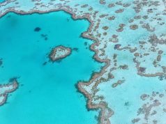 Unforgettable Great Barrier Reef Adventures: Explore Nature’s Wonder