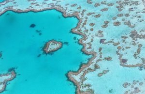 Unforgettable Great Barrier Reef Adventures: Explore Nature’s Wonder