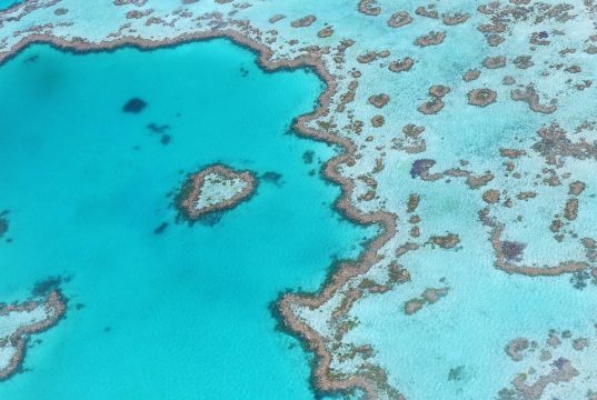 Unforgettable Great Barrier Reef Adventures: Explore Nature’s Wonder