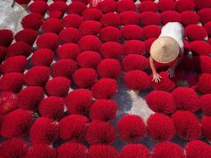 Discover the Best Cultural Tours in Vietnam: A Traveler’s Guide