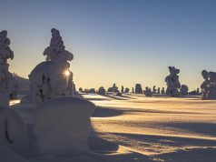 Unforgettable Winter Trips to Lapland: Your Ultimate Guide