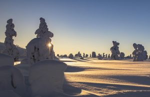 Unforgettable Winter Trips to Lapland: Your Ultimate Guide