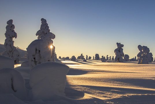 Unforgettable Winter Trips to Lapland: Your Ultimate Guide