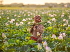 Discover the Enchanting Floating Villages in Cambodia: A Unique Adventure