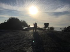 Discover the Best Eco-Lodges in Tasmania for Sustainable Travel