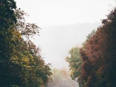 Top 10 Unforgettable Road Trips in Madagascar You Must Experience