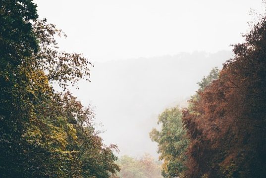 Top 10 Unforgettable Road Trips in Madagascar You Must Experience