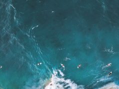 Top Surf Spots in Gold Coast: Your Ultimate Guide to Riding Waves