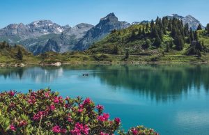 Discover the Best Mountain Hikes in Tanzania: A Traveler’s Guide