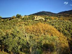 Discover the Best Family Villas in Tuscany for Your Next Getaway