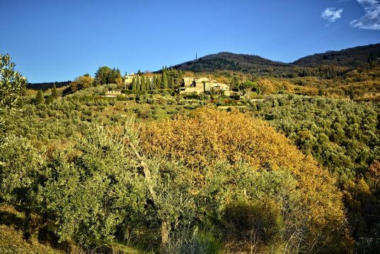 Discover the Best Family Villas in Tuscany for Your Next Getaway