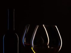 Unforgettable Wine Tours in Bordeaux: Explore the Vineyards