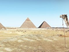 Unforgettable Desert Camps in the Sahara: Your Ultimate Guide