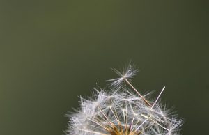 Explore the Best Scenic Drives in Rwanda for Unforgettable Views