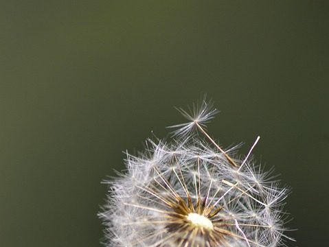 Explore the Best Scenic Drives in Rwanda for Unforgettable Views