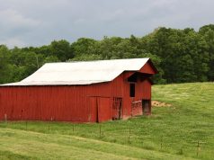 Top VRBO Gatlinburg TN Cabins for Your Perfect Mountain Getaway