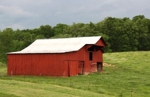 Top VRBO Gatlinburg TN Cabins for Your Perfect Mountain Getaway