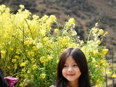 Discover Vietnam: Unforgettable Cultural Tours You Can’t Miss