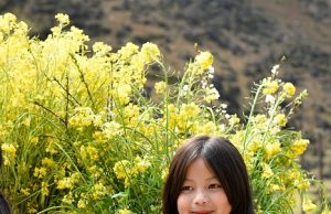 Discover Vietnam: Unforgettable Cultural Tours You Can’t Miss