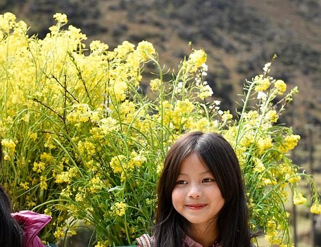 Discover Vietnam: Unforgettable Cultural Tours You Can’t Miss