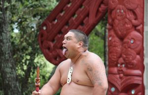 Discover Authentic Maori Cultural Tours: A Journey Through Heritage