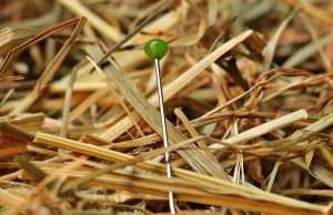 How to Find Cheap Hotels: Expert Tips for Budget Travelers